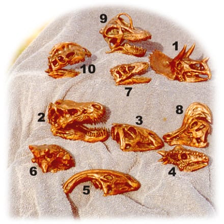 Minature bronze sculptures of 10 dinosaur skulls.