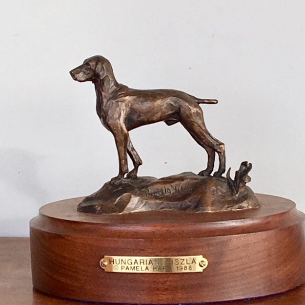 Bronze sculpture of a Hungarian Viszla hunting dog, pointing.