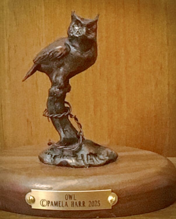 and owl on a fence post